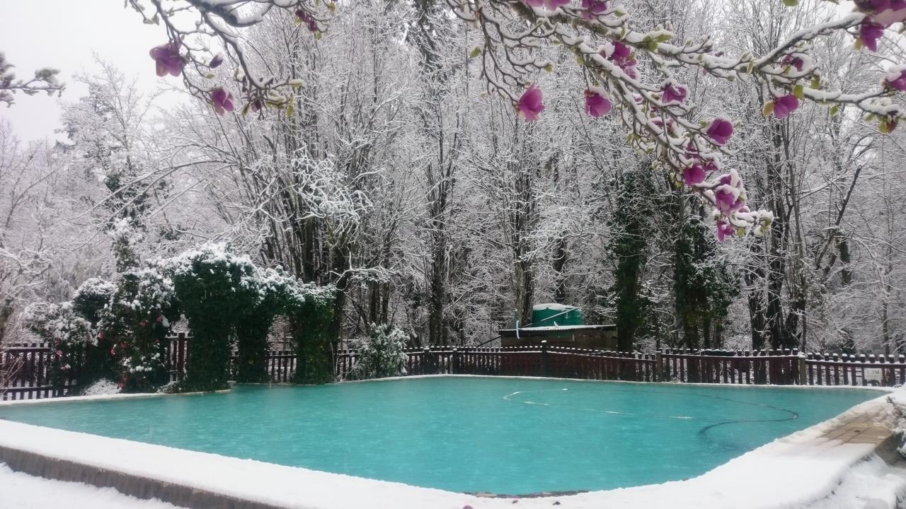The Hogsback Inn Esterno foto